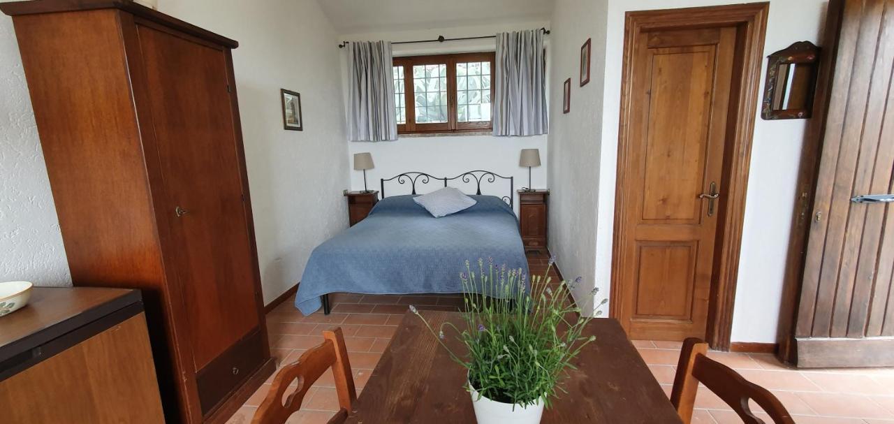 Poloturisticoumbria Rustico Con Piscina Vista Lago Passignano sul Trasimeno Exteriör bild